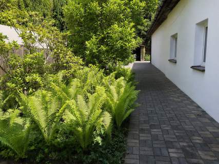 Dom do wynajęcia, 80 m2, Janki