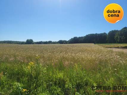 Działka budowlana na sprzedaż, 3000 m2, Kikorze