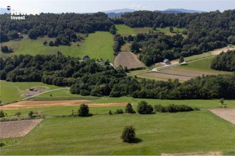 Prywatny las 3331 m2 - Twoja przestrzeń w naturze