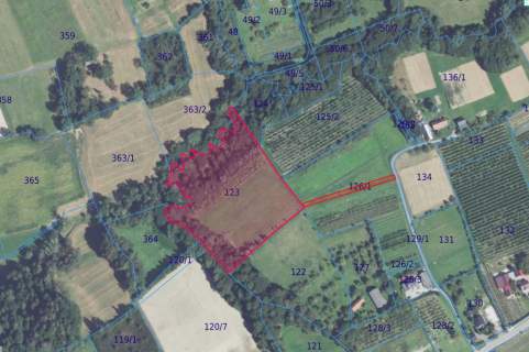 Działka rolno-leśna, 1,56 ha, Sadek, Jodłownik