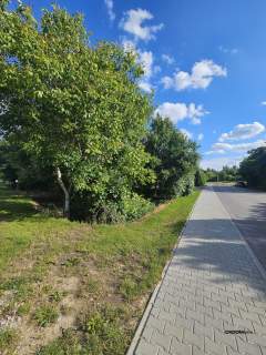 Wyjątkowa działka budowlana Dąbrowa, gm. Masłów