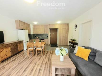 Do wynajęcia apartament w centrum miasta