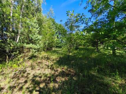 Przestrzeń, luz i natura - wyjątkowa działka w Pyskowicach D