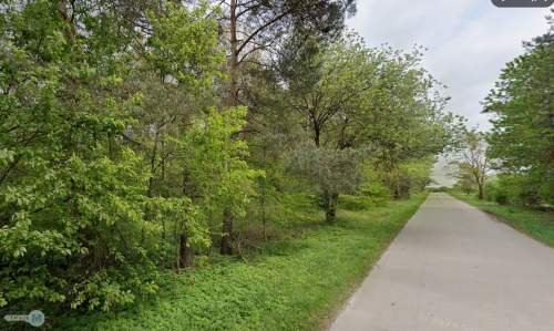 Na sprzedaż las o powierzchni 43,1ha gm.Chmielnik
