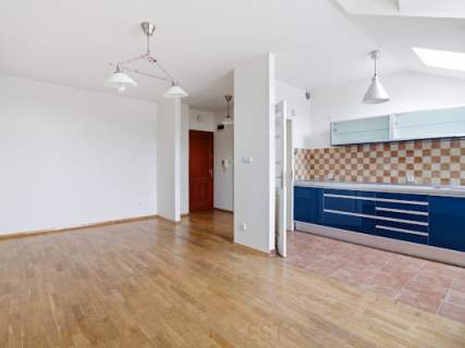Lokal do wynajecia up Babinskiego