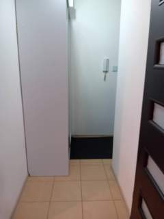 Pachnące świerzościąn 38m2 w zielonym sercu miasta