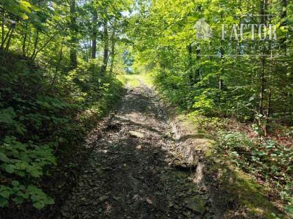 Kąclowa działka rolna 0,6 ha 1103S