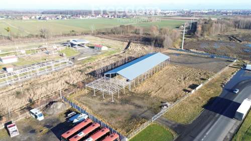Działka w Skarbimierzu przy ul. Biedronkowej