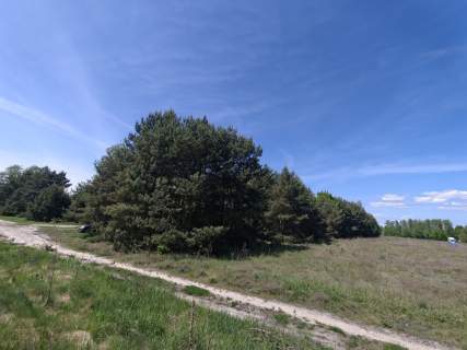 Michałów - urokliwa działka budowlana 5500 m2