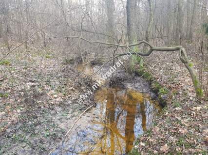  2500 m2 urokliwa działka przy lesie z MPZP 