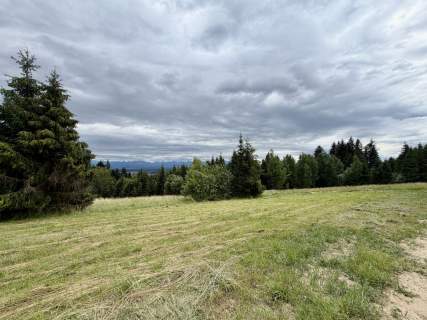 Widok na Tatry/ MPZP/Budowlana/Nasłoneczniona/Las