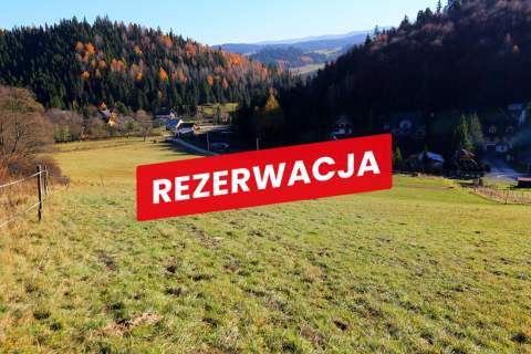 Działka rolno-budowlana w Łapszach Niżnych