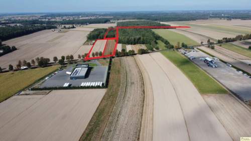 Sprzedam 4,55 ha w Gołąbkach przy trasie 63 Łuków- Radzyń Podl