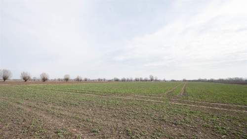 Działka - Karczowiska Górne