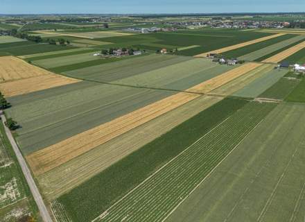 Grunty Rolne 5,80 Ha Magdalenki, Wlkp Klasa III