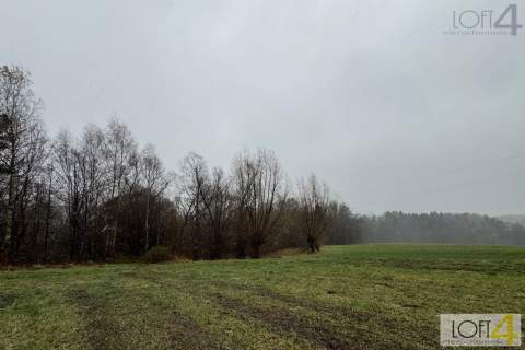 Budżetowa propozycja i/ lub ciekawa inwestycja.