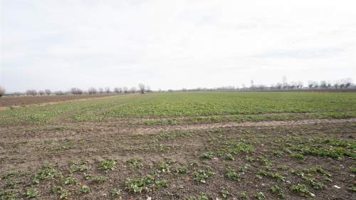 Działka - Karczowiska Górne