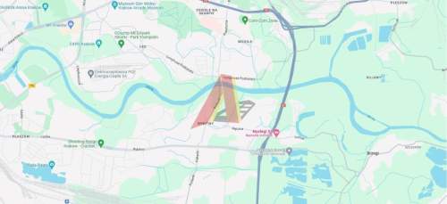 12ar Rybitwy