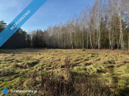 Działka 6300 m2 możliwość budowy dwóch domów, las