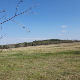 Nieruchomość rolna 39,83ha