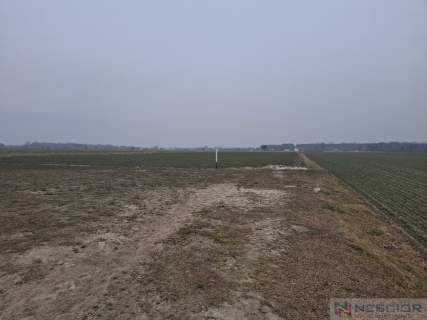 Działka budowlana 1000 m w Boroszkowie
