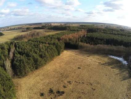 Działka na sprzedaż, 24200 m2, Biała Piska