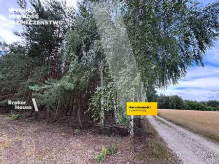 Działka na sprzedaż, 2800 m2, Wiejca