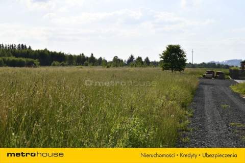 Grunty inwestycyjne 1,53 ha z WZ