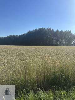 Działka rolna z potencjałem przy drodze wojewódzkiej