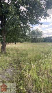 Działka pod zabudowę zagrodową pod lasem w Przegini Narodowej