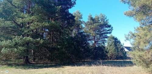 Nieruchomość nad zalewem z prywatnym lasem