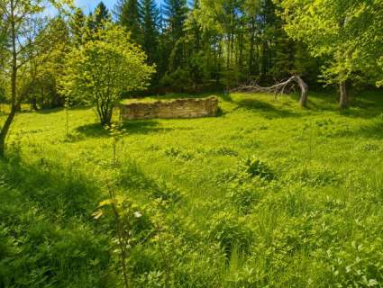 Działka 1700 m2 WZ na 2 Domy Natura Potencjał