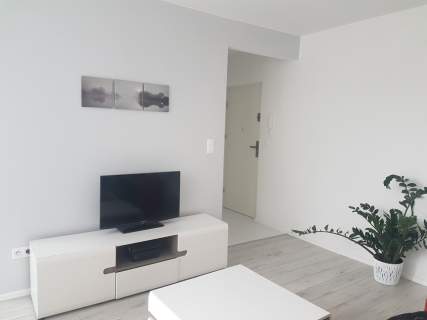 do wynajęcia apartament