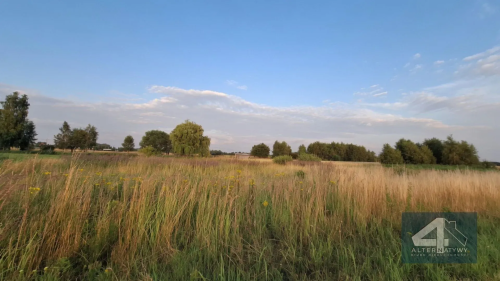 Działka Niechcice 1000m 