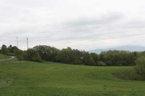 Przetarg - obręb geodezyjny Ogrodzona