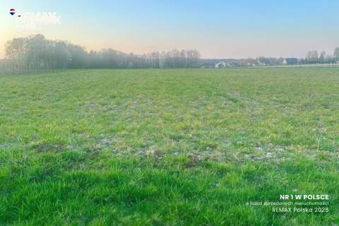 Atrakcyjna działka budowlana/Pisarzowice