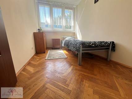 2-pokojowe mieszkanie 2 piętro - Dąbrowa