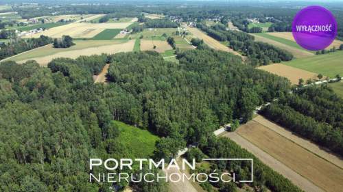 Działka w Dobrzyńcu 15 200 m2