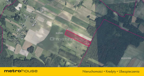 5,40ha Idealne na stadninę agroturystykę Fermę