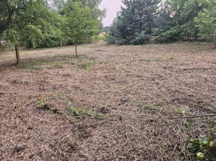 Działka rolno-budowlana 1,52 ha Dąbrowa gm. Ludwin
