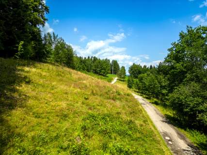 Działka rekreacyjna przy lesie, 3571 m2, cisza
