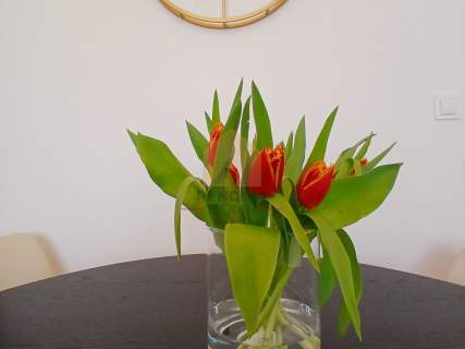 Komfortowe 3 pokoje po remoncie balkon