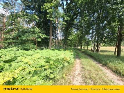 Działka 2,8ha w Dolinie Baryczy Wilkowo