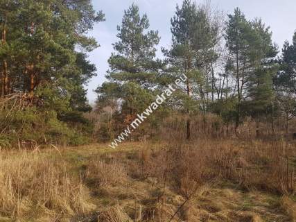  2500 m2 urokliwa działka przy lesie z MPZP 