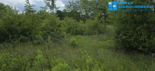 Kanie 1100m2, cicha okolica, w pobliżu lasu 