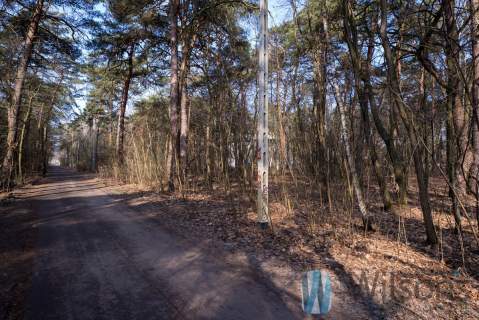 Duża działka leśna 5 453 m Otwock