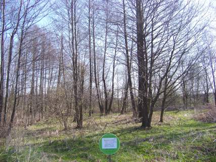 Urocza działka Lipowiec Kościelny