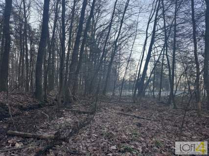 Wyjątkowa, uzbrojona działka pod lasem.