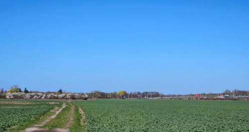 4691 m2 DZIAŁKA Wrocław PAWŁOWICE super inwestycja