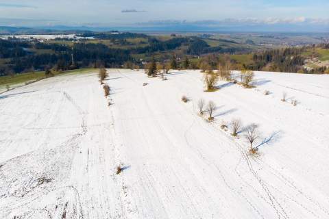 WIDOKOWA DZIAŁKA ROLNA - BACHLEDÓWKA